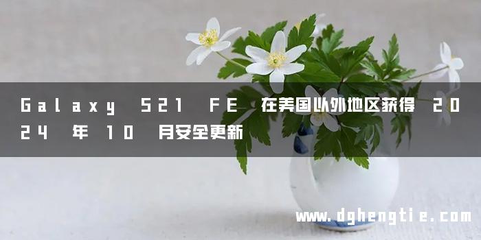 Galaxy S21 FE 在美国以外地区获得 2024 年 10 月安全更新